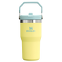 Swatch for Stanley 1913 IceFlow™ Flip Straw 2.0 Tumbler 0.59L in Pomelo | Front View