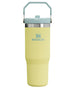Swatch for Stanley 1913 The IceFlow™ Flip Straw Tumbler 30 OZ 0.89 L in Pomelo | Front View