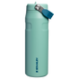 Swatch for Stanley 1913 The IceFlow™ Bottle with Flip Straw Lid 24 oz 0.71 L in Spring Green | Front View