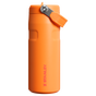 Muestra para Stanley 1913 IceFlow™ Bottle Flip Straw 2.0 0.47L en Goldenrod Coral | Ver Delante
