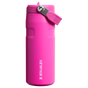 Muestra para Stanley 1913 IceFlow™ Bottle Flip Straw 2.0 0.47L en Violet Blossom