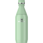 Swatch for Stanley 1913 All Day Slim Bottle 0.35L in Pistachio Gloss