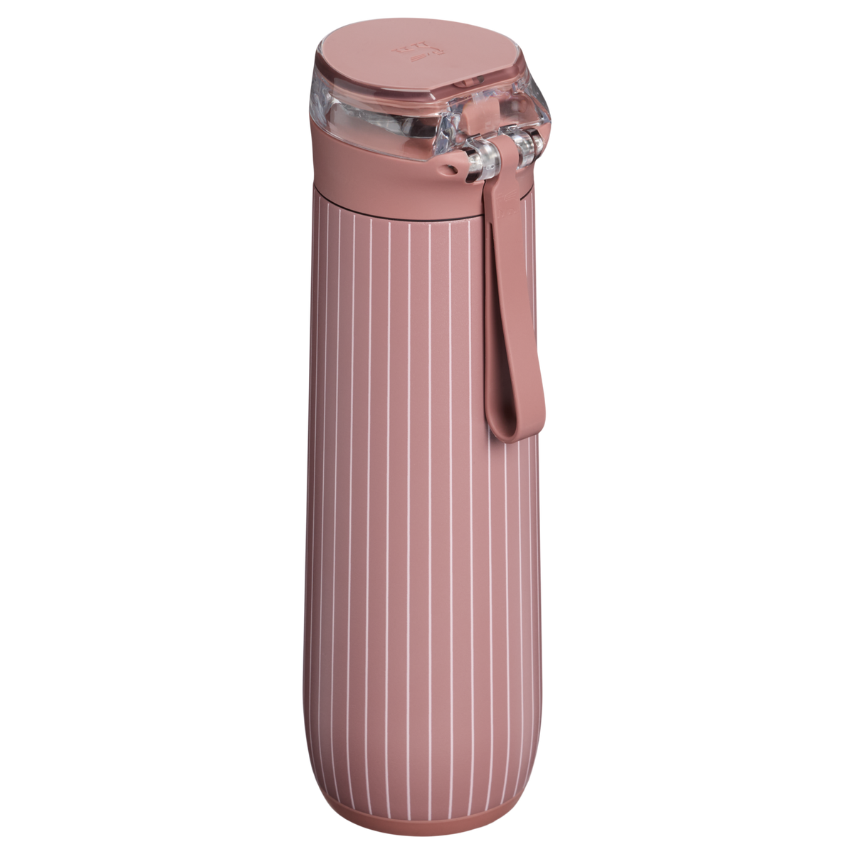 Stanley 1913 Flowstate™ Spring Bottle 0.59L en Moab Pinstripe | Ver Detrás