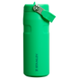 Swatch for Stanley 1913 The IceFlow™ Bottle with Flip Straw Lid 16 OZ 0.47 L in Meadow | Front View