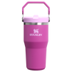 The IceFlow Flip Straw Tumbler | 20 OZ | 0.59 L - Stanley Create
