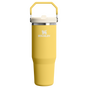Swatch for Stanley 1913 IceFlow™ Flip Straw 2.0 Tumbler 0.89L in Daffodil | Front View