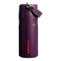 Swatch for Stanley 1913 The IceFlow™ Bottle with Flip Straw Lid 16 OZ 0.47 L in Tigerlily Plum | Front View