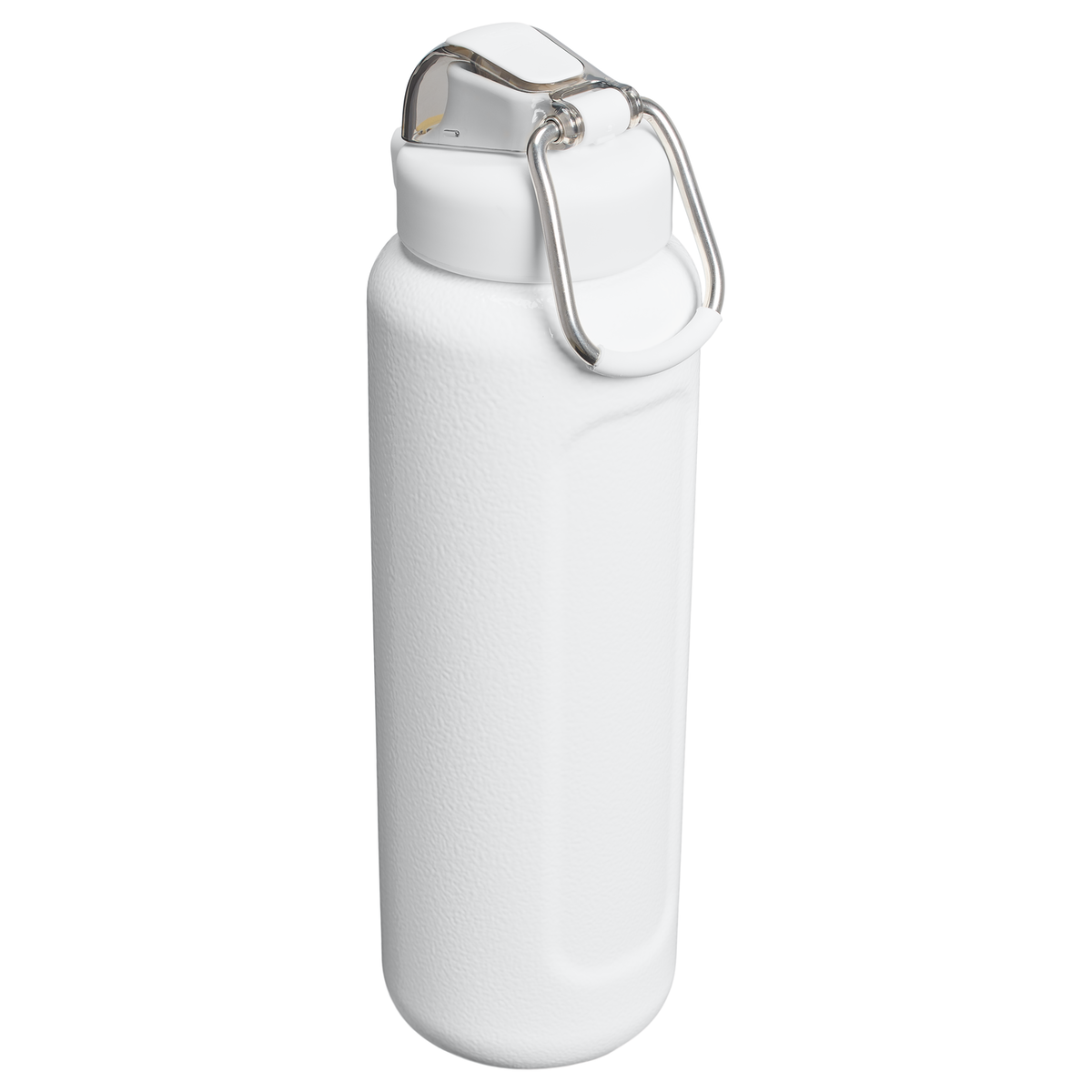 Stanley 1913 The Wellspring Bottle 32 OZ 0.89 L in Hammertone Frost | Back View
