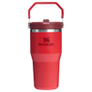 The IceFlow Flip Straw Tumbler | 20 OZ | 0.59 L - Stanley Create