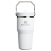 The IceFlow Flip Straw Tumbler | 20 OZ | 0.59 L - Stanley Create