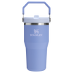 The IceFlow Flip Straw Tumbler | 20 OZ | 0.59 L - Stanley Create