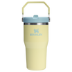 The IceFlow Flip Straw Tumbler | 20 OZ | 0.59 L - Stanley Create